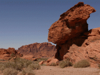L1110359.gif