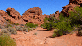 L1110387.gif