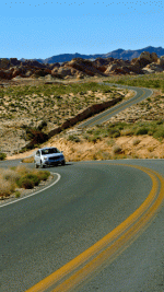 L1110391.gif