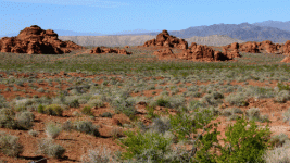 L1110399.gif