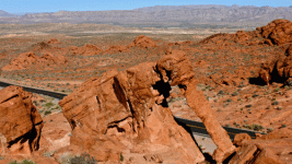 L1110407.gif