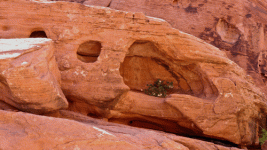 L1110381.gif