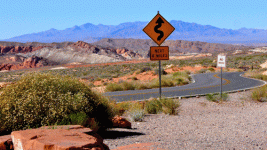 L1110389.gif