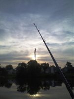 Copy of aug sort 080.jpg