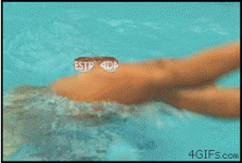 piscina2.gif