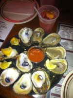 !!oysters.jpg