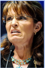 palin3.png