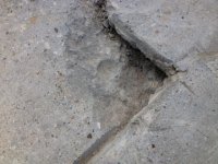 cracks2.jpg