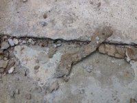 sandy patches6.jpg