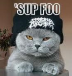 catusp.png