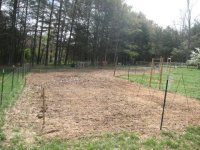 garden.jpg