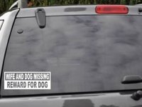 a-BUMPER-STICKER-404x304.jpg