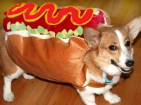 hotdog.jpg