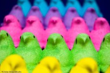 10247232_10152372266124793_7967105278531395038_n.jpg