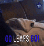 toronto-toronto-maple-leafs.gif