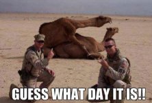 Hump Day.JPG
