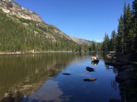 ImageUploadedByTapatalk1406570862.195666.jpg ImageUploadedByTapatalk1406570862.195666.jpg