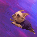 dogs-space.gif