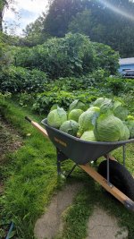 1767621617478.jpeg 1767621617478.jpeg