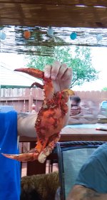 IMG_20160806_145347 - Copy.jpg