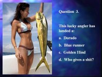 Untitled attachment 00028.jpg