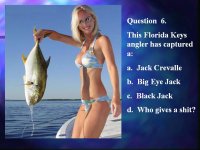 Untitled attachment 00037.jpg