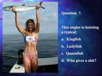 Untitled attachment 00040.jpg