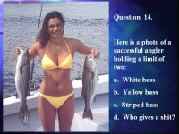 Untitled attachment 00061.jpg