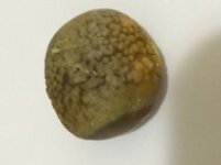 stone.jpg