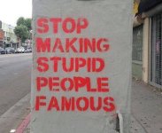 stupid.jpg