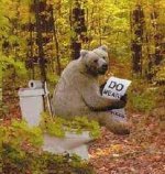 Bear-on-toilet.jpg Bear-on-toilet.jpg