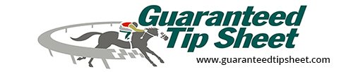 GTS-Tipsheet_Logo7.jpg
