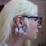 gerbil ear.jpg