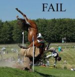horse fail.jpg