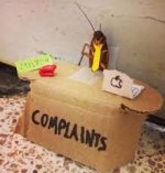complain.jpg complain.jpg