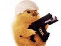 chicken.jpg chicken.jpg