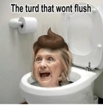 nonflushingturd.jpg