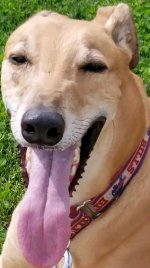 brody 4 (448x800).jpg brody 4 (448x800).jpg