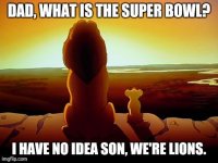Lions super bowl.jpg