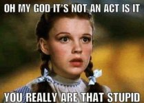 af76db8762.jpg af76db8762.jpg