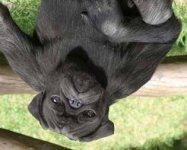 whats his.jpg whats his.jpg