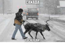 canada-fuck-yeah-gifsec-com-33853702.png