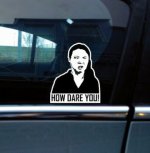 ab-how-dare-you-greta-funny-meme-decal-drift-jdm-car-sticker-window-size-on-the-longest-side-40-.jpg