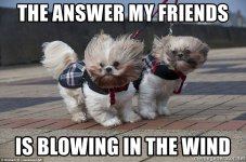 the-answer-my-friends-is-blowing-in-the-wind.jpg