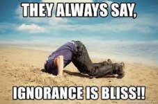 bliss.jpg