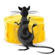 cheezrat