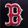 Fenway Faithful