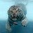 The Big Cat