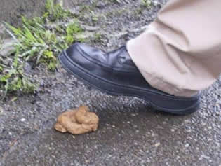 dog+shit.jpg