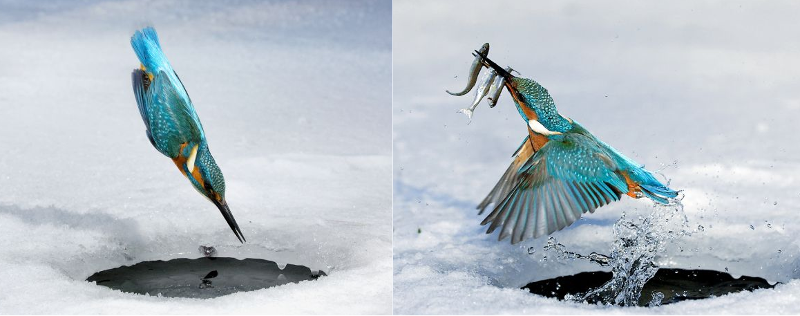 rplHYuq.png